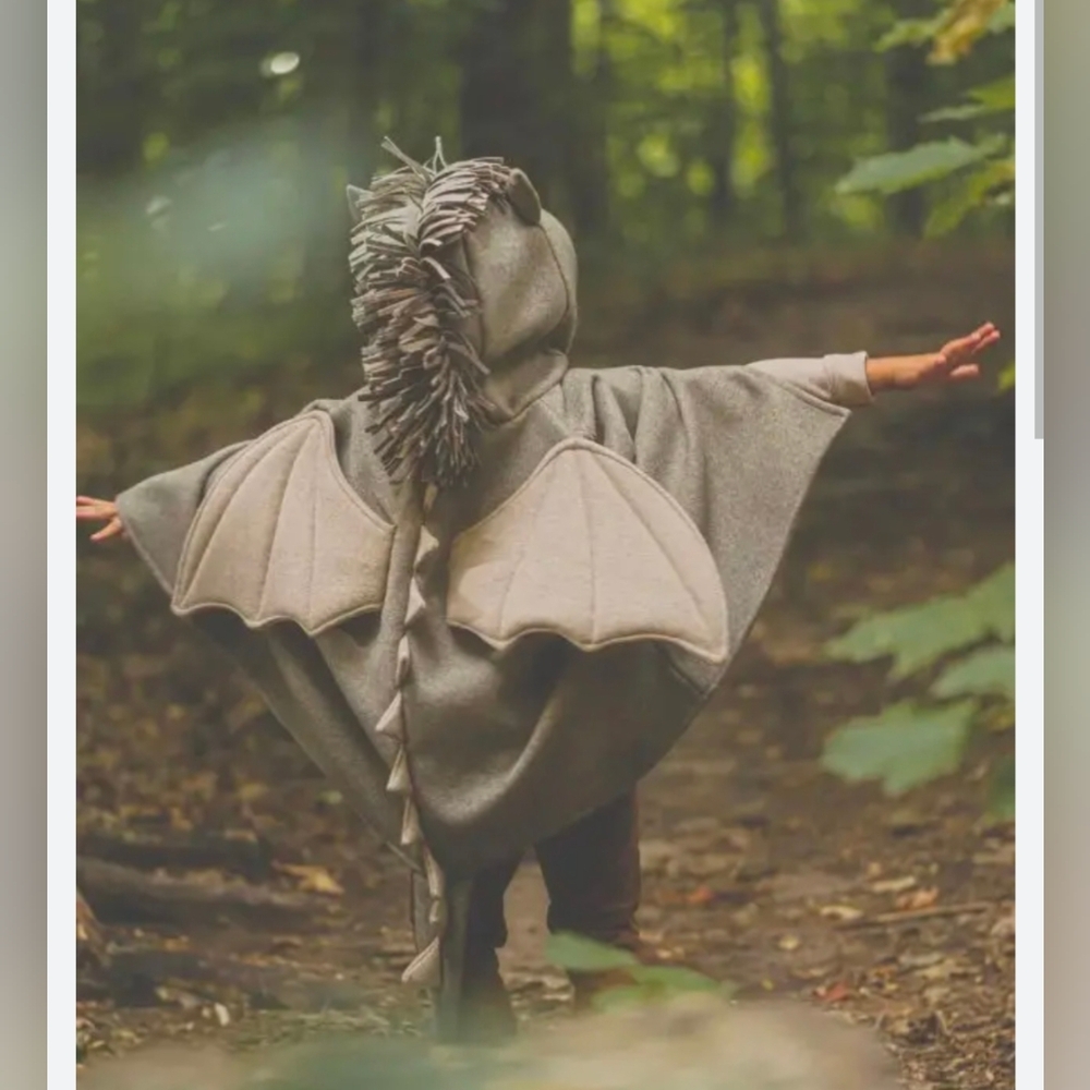 Dragon Cape Costume with Wings